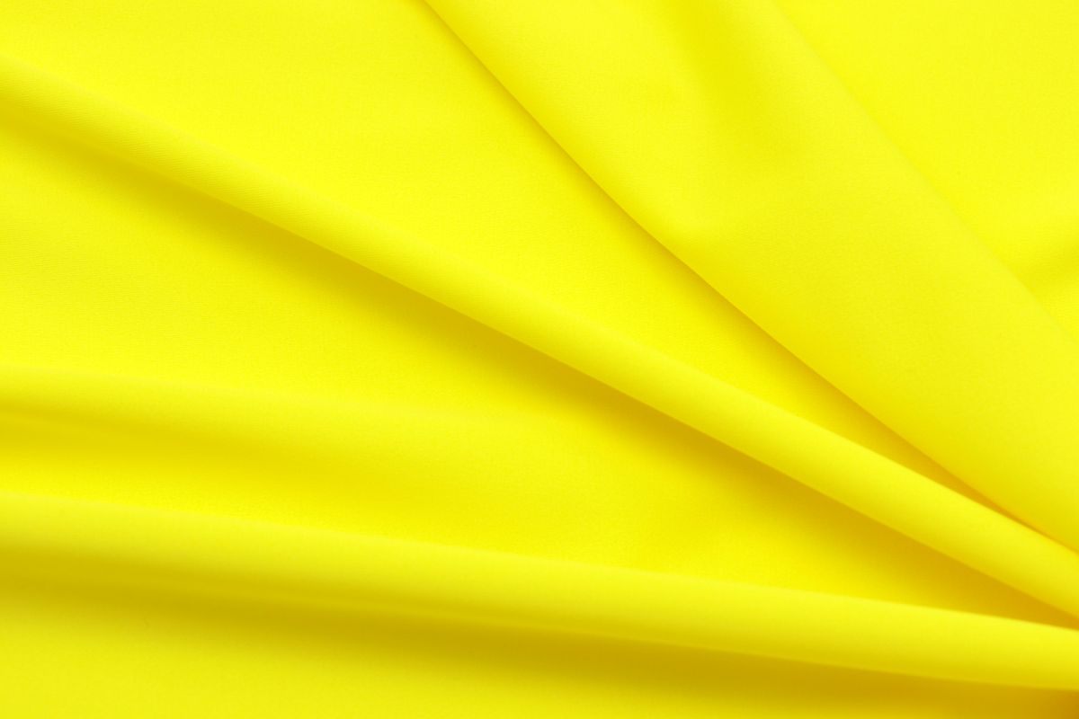Shades of Sunshine: Yellow Cat Names