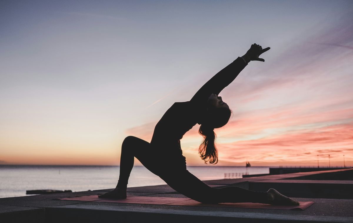 Exploring Feline Fitness: Proactive Tips for Cat Health &; Wellness
