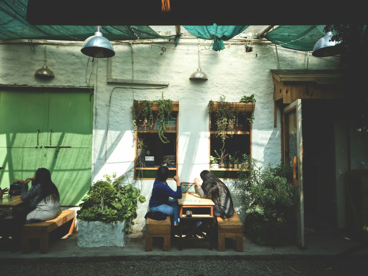 Understanding the Appeal of Cat Cafes: A Global Trend
