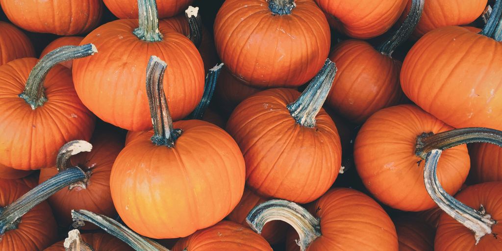 bunch of pumpkins