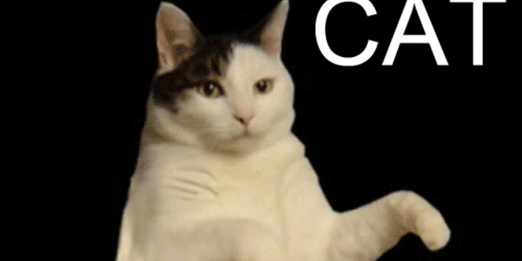 luxury cat hotel with happy cats