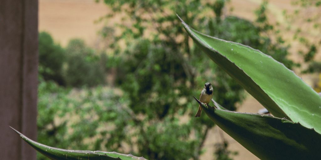a small bird perched on top of a green plant